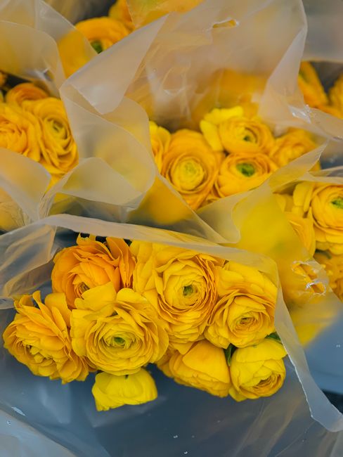 A close-up view of multiple bouquets of vibrant yellow flowers, likely ranunculus, wrapped in translucent white paper with some clear plastic, ready for flower delivery. The flowers have densely packe